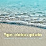 Télécharger le livre :  Vagues océaniques apaisantes: déconnecter et se détendre au son de la mer