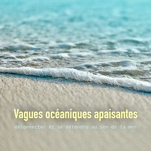 Téléchargez le livre :  Vagues océaniques apaisantes: déconnecter et se détendre au son de la mer