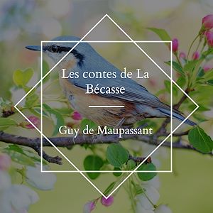 Download the eBook: Les contes de La Bécasse