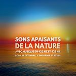 Télécharger le livre :  Sons apaisants de la nature avec musique en 432 Hz et 528 Hz pour se détendre, s'endormir et rêver
