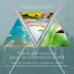 Téléchargez le livre :  Paysages sonores pour un sommeil profond : Sons de la nature et musique en 432Hz pour la relaxation, la méditation et la guérison