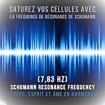 Télécharger le livre :  Saturez vos cellules avec la fréquence de résonance de Schumann (7,83 Hz)