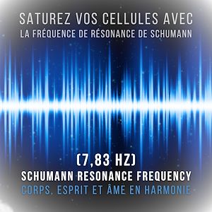 Téléchargez le livre :  Saturez vos cellules avec la fréquence de résonance de Schumann (7,83 Hz)