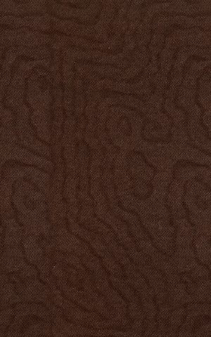 Téléchargez le livre :  An Introduction to the Seasoning of Timber