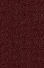 Télécharger le livre :  Technology and Uses of Liquid Hydrogen