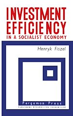 Télécharger le livre :  Investment Efficiency in a Socialist Economy