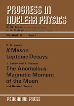 Télécharger le livre :  K Meson Leptonic Decays