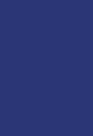 Téléchargez le livre :  The Nebular Variables