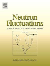 Téléchargez le livre :  Neutron Fluctuations