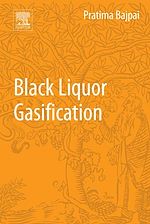Télécharger le livre :  Black Liquor Gasification