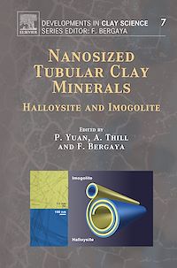 Téléchargez le livre :  Nanosized Tubular Clay Minerals