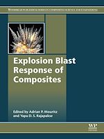 Télécharger le livre :  Explosion Blast Response of Composites