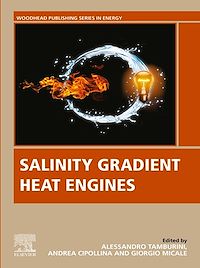 Téléchargez le livre :  Salinity Gradient Heat Engines
