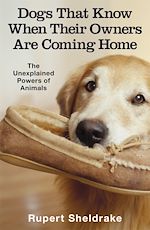 Télécharger le livre :  Dogs That Know When Their Owners Are Coming Home