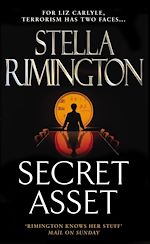 Download this eBook Secret Asset