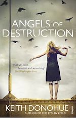 Télécharger le livre :  Angels of Destruction