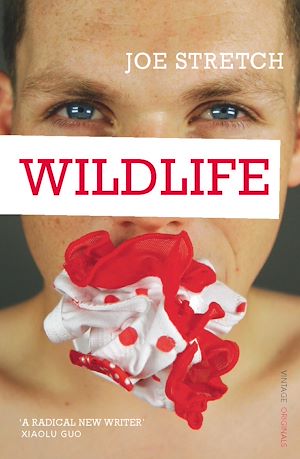 Téléchargez le livre :  Wildlife