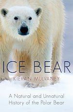 Télécharger le livre :  Ice Bear