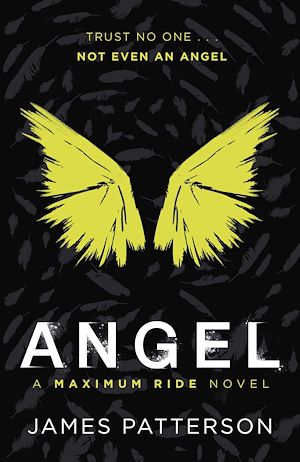 Téléchargez le livre :  Angel: A Maximum Ride Novel