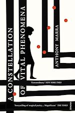 Télécharger le livre :  A Constellation of Vital Phenomena