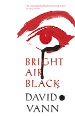 Download this eBook Bright Air Black
