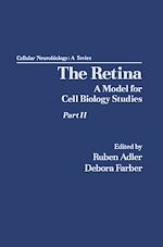 Télécharger le livre :  The Retina A Model for Cell Biology Studies Part_2