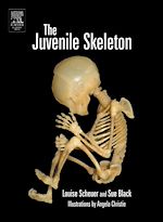 Télécharger le livre :  The Juvenile Skeleton