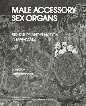 Téléchargez le livre :  Male Accessory Sex Organs