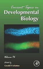 Télécharger le livre :  Current Topics in Developmental Biology