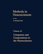 Télécharger le livre :  Computers and Computations in the Neurosciences