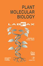 Télécharger le livre :  Plant Molecular Biology LabFax