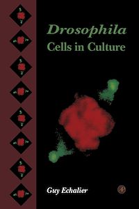 Téléchargez le livre :  Drosophila Cells in Culture