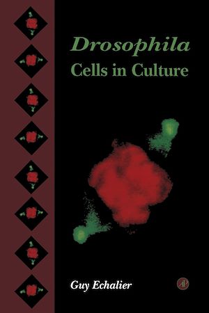 Téléchargez le livre :  Drosophila Cells in Culture