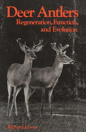 Téléchargez le livre :  Deer Antlers