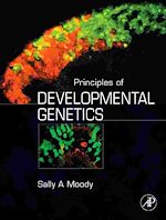 Télécharger le livre :  Principles of Developmental Genetics