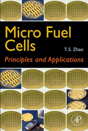 Téléchargez le livre :  Micro Fuel Cells