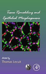 Télécharger le livre :  Tissue Remodeling and Epithelial Morphogenesis