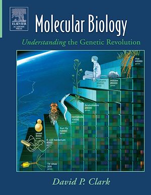 Téléchargez le livre :  Molecular Biology