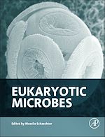 Télécharger le livre :  Eukaryotic Microbes