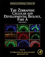 Télécharger le livre :  The Zebrafish: Cellular and Developmental Biology, Part A
