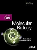 Télécharger le livre :  Molecular Biology