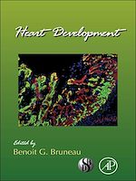 Télécharger le livre :  Heart Development
