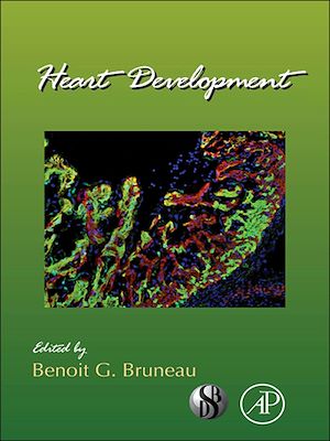 Téléchargez le livre :  Heart Development
