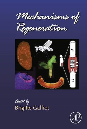 Téléchargez le livre :  Mechanisms of Regeneration