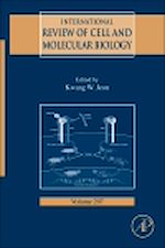Télécharger le livre :  International Review Of Cell and Molecular Biology