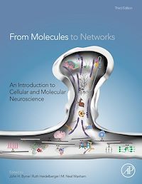 Téléchargez le livre :  From Molecules to Networks