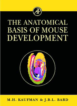 Téléchargez le livre :  The Anatomical Basis of Mouse Development