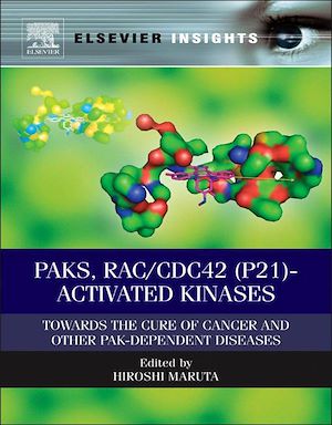 Download the eBook: PAKs, RAC/CDC42 (p21)-activated Kinases