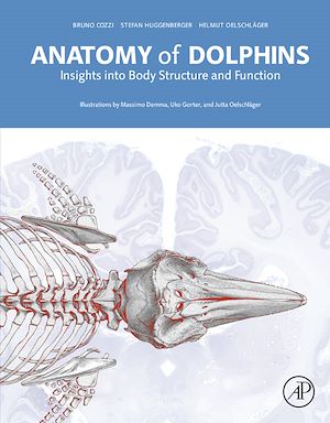 Téléchargez le livre :  Anatomy of Dolphins