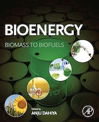 Téléchargez le livre :  Bioenergy